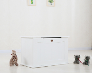 Caja de juguetes BF-1501